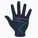 AI Palm Reader