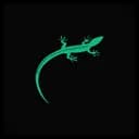 Lizard (lizard.build)