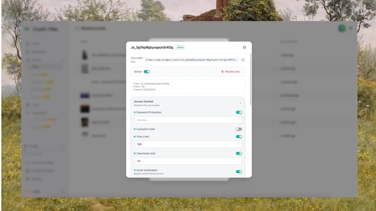 DragBin screenshot 4