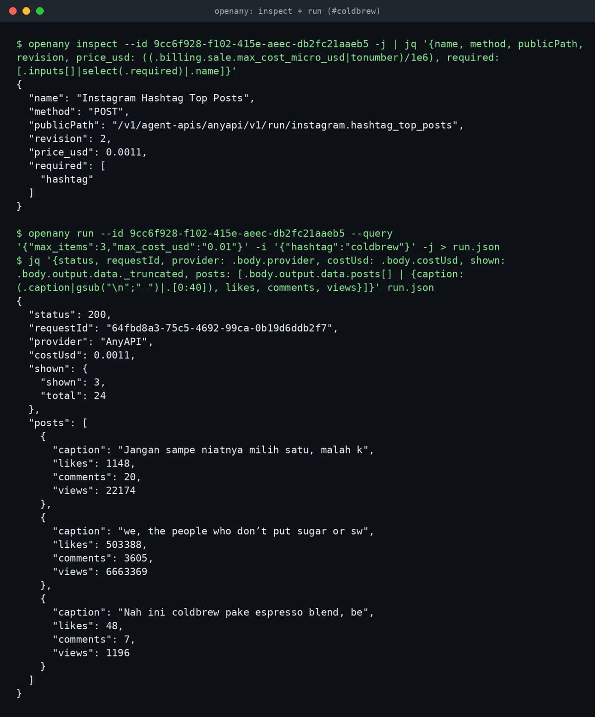 OpenAny screenshot 2