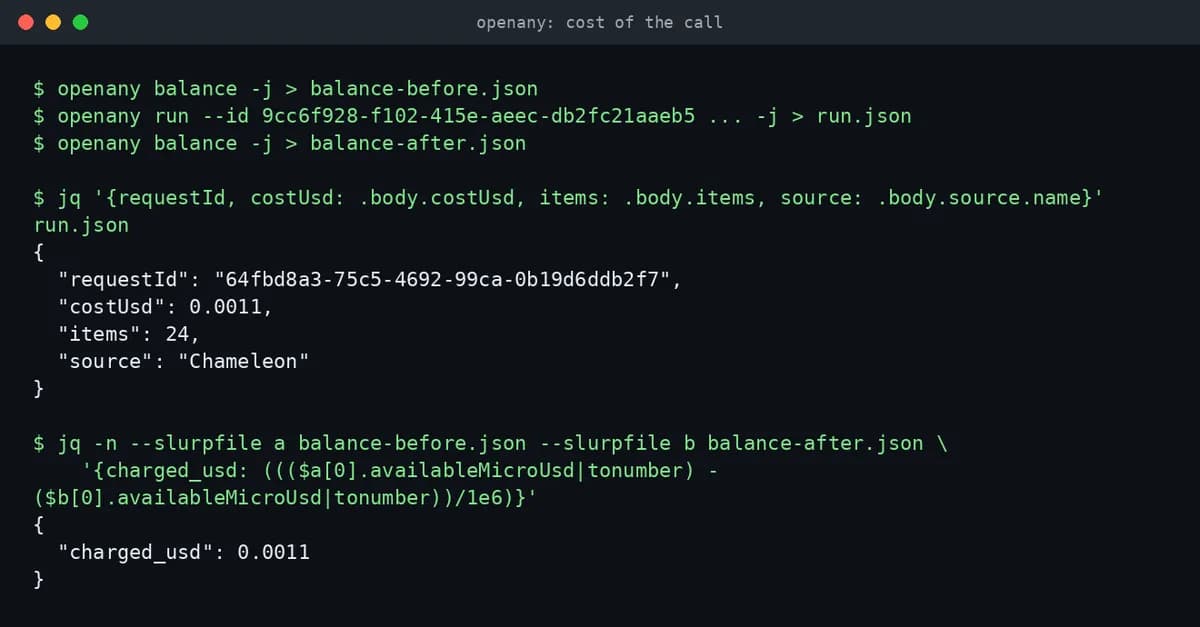 OpenAny screenshot 3