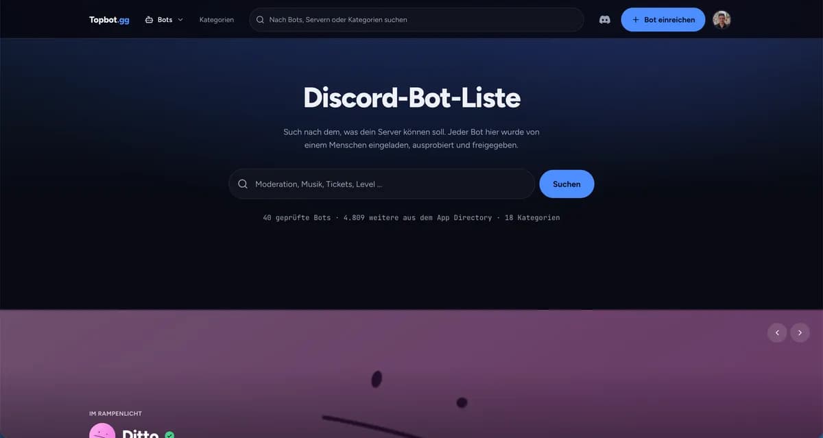 Topbot.gg screenshot 1