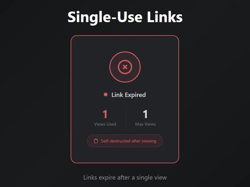 vitelnk screenshot 5